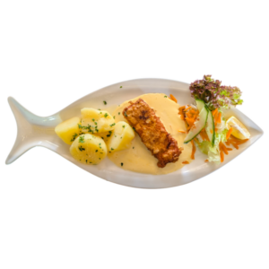 Lachsfilet